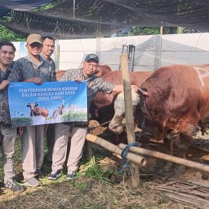 Perumda Air Minum Surya Sembada Tingkatkan Ibadah Dengan Salurkan 14 Sapi Kurban di Hari Raya Iedul Adha 1446 H Perumda Air Minum Surya Sembada Tingkatkan Ibadah Dengan Salurkan 14 Sapi Kurban di Hari Raya Iedul Adha 1446 H