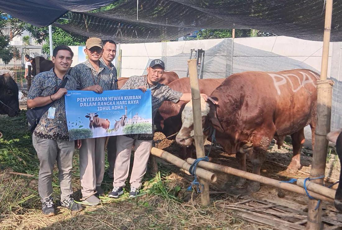 Perumda Air Minum Surya Sembada Tingkatkan Ibadah Dengan Salurkan 14 Sapi Kurban di Hari Raya Iedul Adha 1446 H