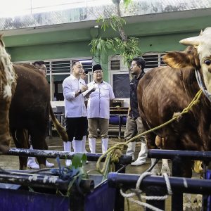 Eri Pastikan Kesehatan Hewan Kurban Presiden hingga RPH Surabaya Eri Pastikan Kesehatan Hewan Kurban Presiden hingga RPH Surabaya