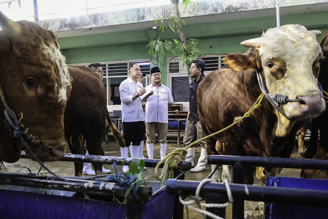 Eri Pastikan Kesehatan Hewan Kurban Presiden hingga RPH Surabaya