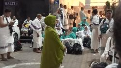 Tidak Sesuai Skenario, 8 Syarikah Bikin Haji 2025 Kacau..(Laporan H. S. Makin Rahmat-5)