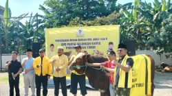 Kumpulkan 26 Hewan Qurban, Ali Mufthi : Terimakasih Kader Golkar