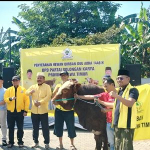 Kumpulkan 25 Hewan Qurban, Ali Mufthi: Terimakasih Kader Golkar