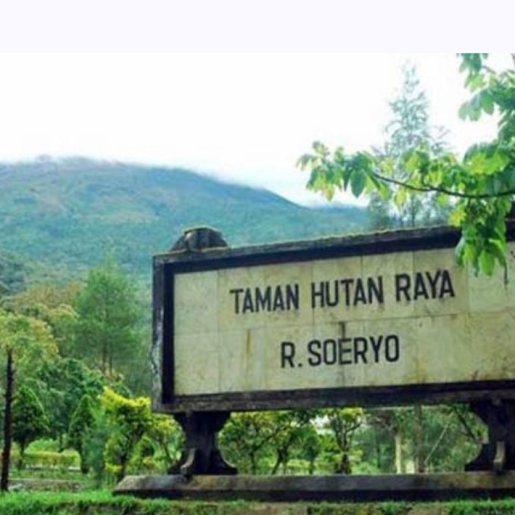 Tahura Raden Soerjo Milik Pemprov Jatim Raih Nilai Tertinggi Kawasan Konservasi