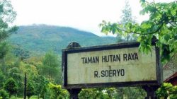 Tahura Raden Soerjo Milik Pemprov Jatim Raih Nilai Tertinggi Kawasan Konservasi