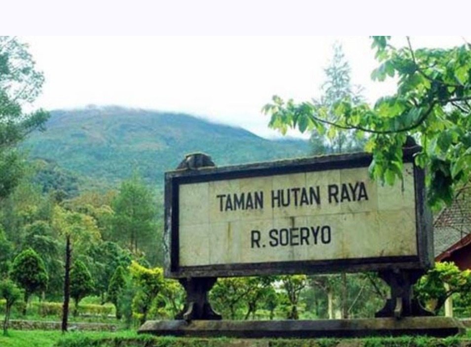 Tahura Raden Soerjo Milik Pemprov Jatim Raih Nilai Tertinggi Kawasan Konservasi