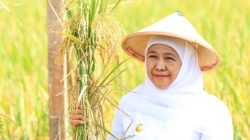 Gubernur Jatim Khofifah Apresiasi Konsep Kampung Pandu yang dikembangkan Kodam V/Brawijaya