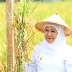 Gubernur Jatim Khofifah Apresiasi Konsep Kampung Pandu yang dikembangkan Kodam V/Brawijaya