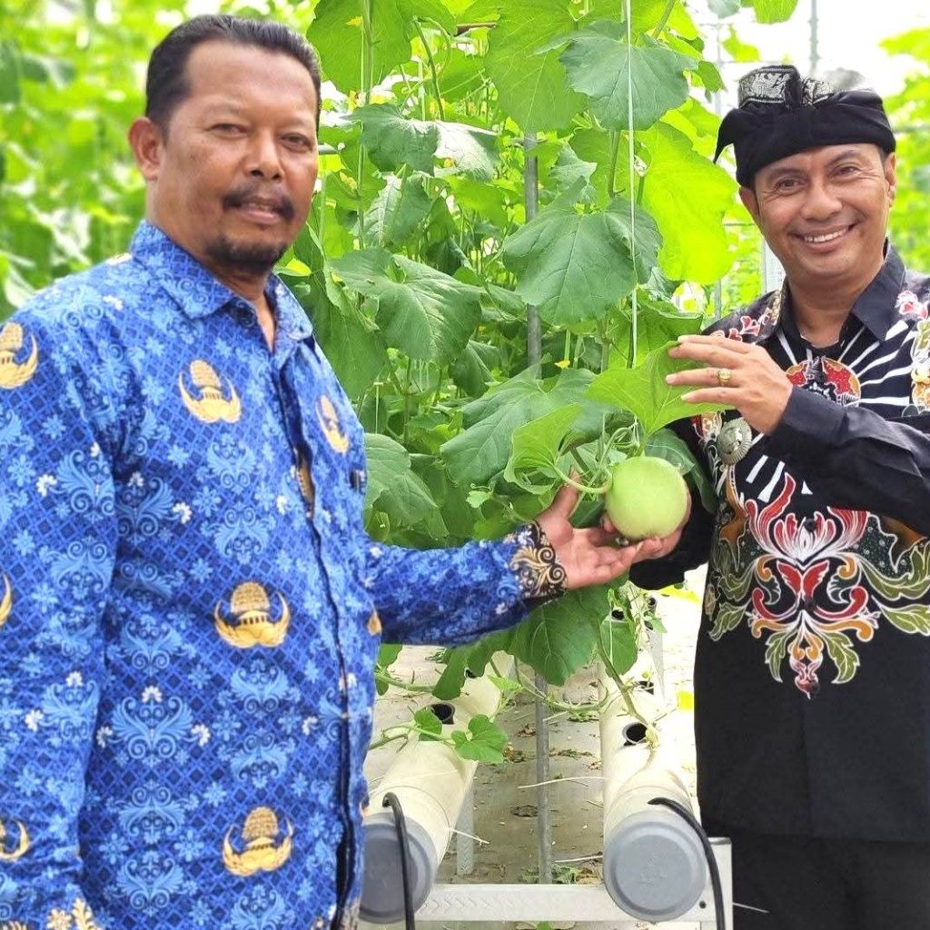 Kolaborasi BUMDes dan KMP, Pemdes Tumpang Blitar Tingkatkan Kesejahtetaan Ekonomi Rakyat Berbasis Greenhouse