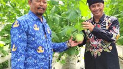Kolaborasi BUMDes dan KMP, Pemdes Tumpang Blitar Tingkatkan Kesejahtetaan Ekonomi Rakyat Berbasis Greenhouse