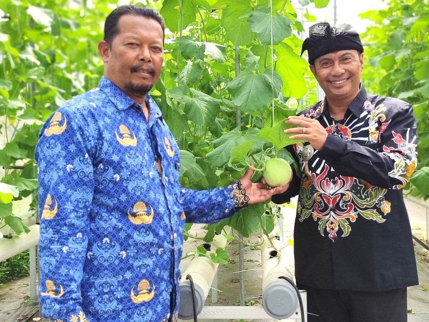 Kolaborasi BUMDes dan KMP, Pemdes Tumpang Blitar Tingkatkan Kesejahtetaan Ekonomi Rakyat Berbasis Greenhouse