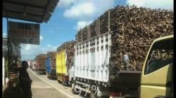 Warga Blitar Meradang, Antrian Truk Tebu Sebabkan Macet, Jalur Binangun Wates Lumpuh Total