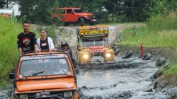 Resmi Dibuka, Wisata Offroad Hutan Cemara Pakal Surabaya Tawarkan Jalur Fun dan Adventure