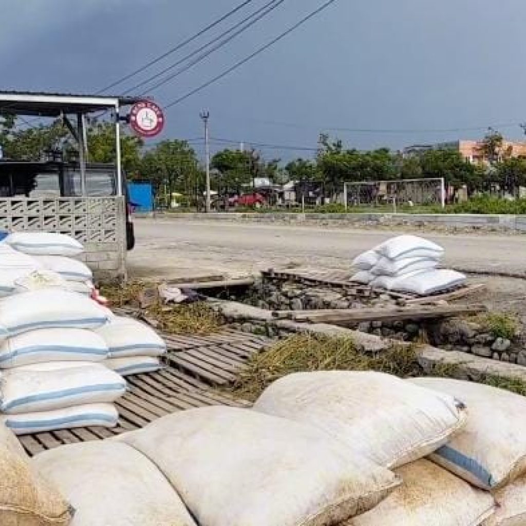Cuaca Anomali, Produksi Garam Sulteng Turun Drastis, Presiden Diminta Turun Tangan