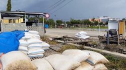 Cuaca Anomali, Produksi Garam Sulteng Turun Drastis, Presiden Diminta Turun Tangan
