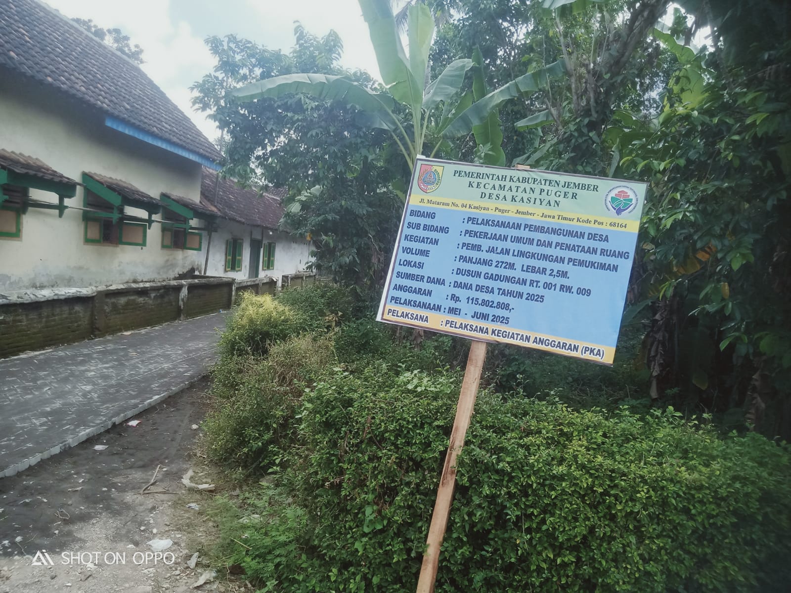 Pemdes Kasian Barat Jember Lakukan Pembanguanan Jalan Paving Telan Dana Desa Rp.115,8 Juta