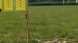Alih Fungsi Lahan Balung Jember, di Duga Tabrak Undang Undang Perlindungan Lahan Pertanian Pangan Berkelanjutan