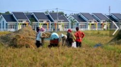 Dampak Alih Fungsi Lahan Pertanian Untuk Perumahan di Jember