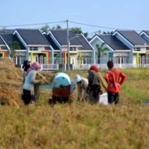 Dampak Alih Fungsi Lahan Pertanian Untuk Perumahan di Jember Dampak Alih Fungsi Lahan Pertanian Untuk Perumahan di Jember
