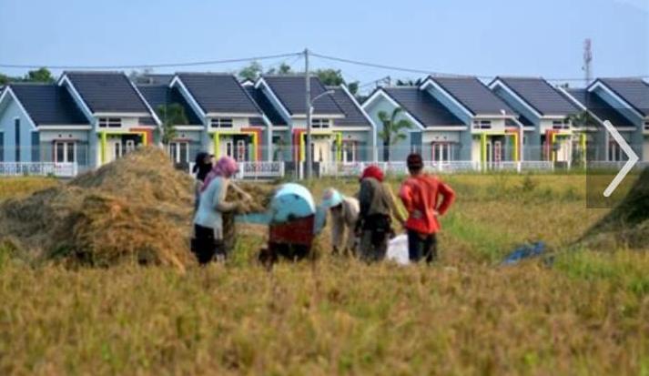 Dampak Alih Fungsi Lahan Pertanian Untuk Perumahan di Jember