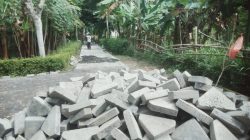 Proyek Jalan Paving Kasian Barat Jember di Tengara Tidak Akan Bertahan Lama