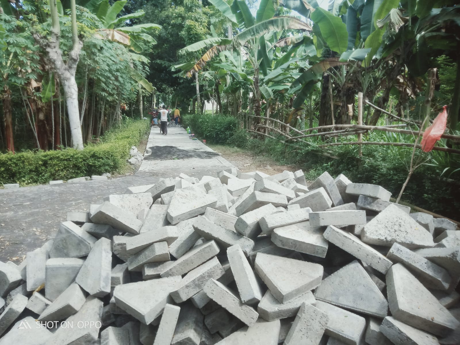 Proyek Jalan Paving Kasian Barat Jember di Tengara Tidak Akan Bertahan Lama