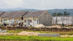 Lahan Pertanian di Rambipuji Jember Menjelma Jadi Perumahan, Apa Upaya BPN?