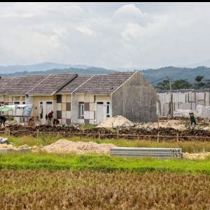 Lahan Pertanian di Rambipuji Jember Menjelma Jadi Perumahan, Apa Upaya BPN? Lahan Pertanian di Rambipuji Jember Menjelma Jadi Perumahan, Apa Upaya BPN?