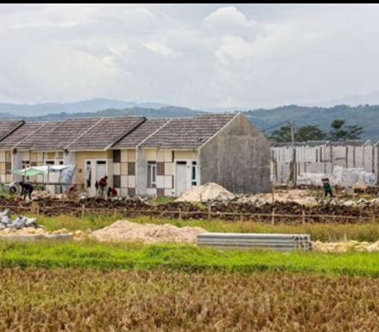 Lahan Pertanian di Rambipuji Jember Menjelma Jadi Perumahan, Apa Upaya BPN?
