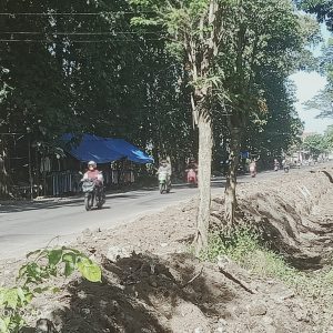 Pelebaran Jalan Provinsi di Jember, Puluhan Warung Rakyat di Bongkar, Arogansi Tanpa Solusi