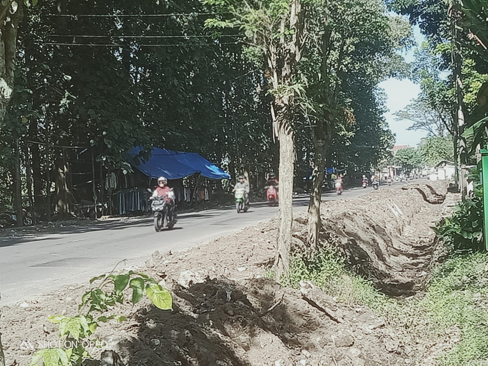 Pelebaran Jalan Provinsi di Jember, Puluhan Warung Rakyat di Bongkar, Arogansi Tanpa Solusi