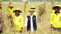 Periode Januari-Juni 2025, Produksi Padi Jatim Nyaris Capai 9 Juta Ton GKP