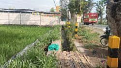 Lemahnya Penegakan Undang Undang Nomor 41 Tahun 2009, Lahan Pertanian Milik Warga di Kencong Jember Terkepung Tembok Mall dan Perumahan