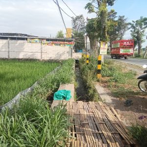 Lemahnya Penegakan Undang Undang Nomor 41 Tahun 2009, Lahan Pertanian Milik Warga di Kencong Jember Terkepung Tembok Mall dan Perumahan