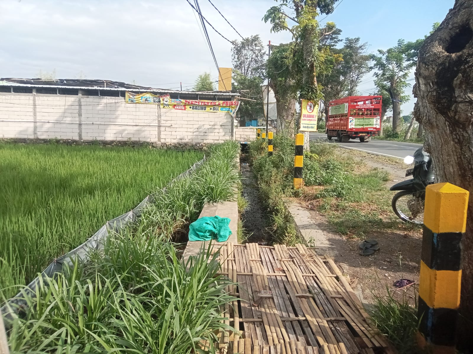 Lemahnya Penegakan Undang Undang Nomor 41 Tahun 2009, Lahan Pertanian Milik Warga di Kencong Jember Terkepung Tembok Mall dan Perumahan