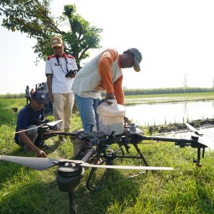 30 Hektare Sawah Terendam, Bupati Kediri Kirim Drone dan Benih 30 Hektare Sawah Terendam, Bupati Kediri Kirim Drone dan Benih