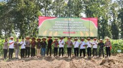 Penanaman Jagung Serentak Kuartal III di Jember, Dorong Pemanfaatan Lahan Perhutanan Sosial