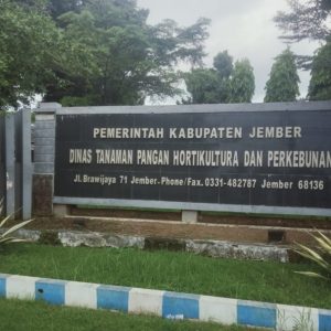 Ramai Persolan Pupuk ,Dinas TPHP Jember Akan Lakukan Pembinaan