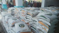 Ribuan Sak Beras Bantuan Pangan Nasional di Bagikan Kepada Masyarakat Mayangan Jember