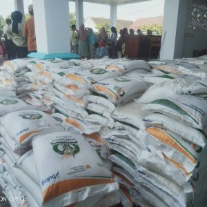 Ribuan Sak Beras Bantuan Pangan Nasional di Bagikan Kepada Masyarakat Mayangan Jember Ribuan Sak Beras Bantuan Pangan Nasional di Bagikan Kepada Masyarakat Mayangan Jember