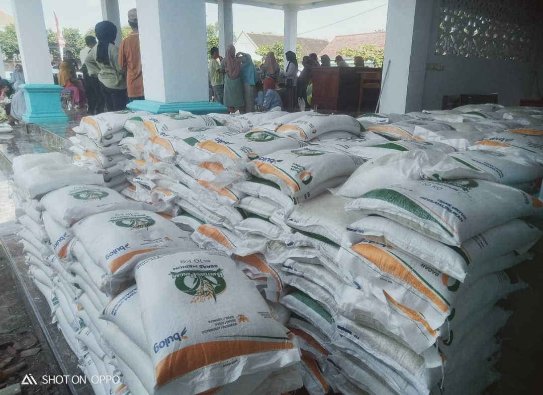 Ribuan Sak Beras Bantuan Pangan Nasional di Bagikan Kepada Masyarakat Mayangan Jember
