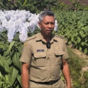 DKPP Kabupaten Blitar Manfaatkan DBHCHT Bangun Infrastruktur Pertanian
