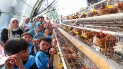 HAN 2025, Anak-anak Surabaya Belajar Sambil Berwisata di Mini Agrowisata