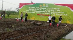 Sinergitas Bupati Sidoarjo, Forkopimda dan Ponpes Al Amanah Tanam Jagung