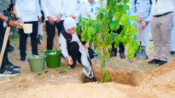 Kelompok Tani Hutan Raih Nilai Transaksi Tertinggi Dapat Apresiasi Khofifah