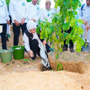 Kelompok Tani Hutan Raih Nilai Transaksi Tertinggi Dapat Apresiasi Khofifah Kelompok Tani Hutan Raih Nilai Transaksi Tertinggi Dapat Apresiasi Khofifah