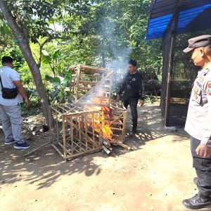 Digerebek Polisi, Pelaku Sabung Ayam di Blitar Lari Terbirit-birit Digerebek Polisi, Pelaku Sabung Ayam di Blitar Lari Terbirit-birit