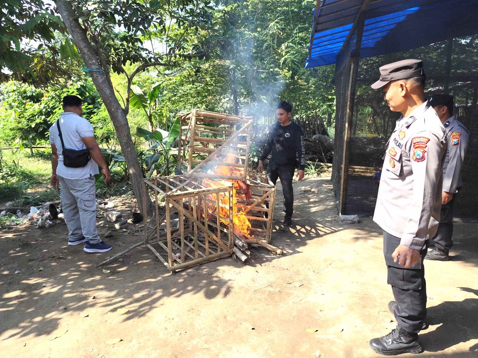 Digerebek Polisi, Pelaku Sabung Ayam di Blitar Lari Terbirit-birit