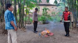 Polsek Balongbenda Gerebek Judi Sabung Ayam