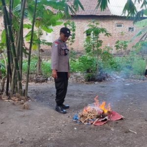 Polsek Balongbenda Gerebek Judi Sabung Ayam Polsek Balongbenda Gerebek Judi Sabung Ayam